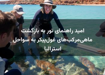 امید راهنمای تور به بازگشت ماهی‌مرکب‌های غول‌پیکر به سواحل استرالیا