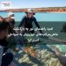 امید راهنمای تور به بازگشت ماهی‌مرکب‌های غول‌پیکر به سواحل استرالیا