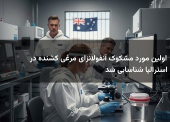 اولین مورد مشکوک آنفولانزای مرغی کشنده در استرالیا شناسایی شد