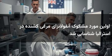 اولین مورد مشکوک آنفولانزای مرغی کشنده در استرالیا شناسایی شد