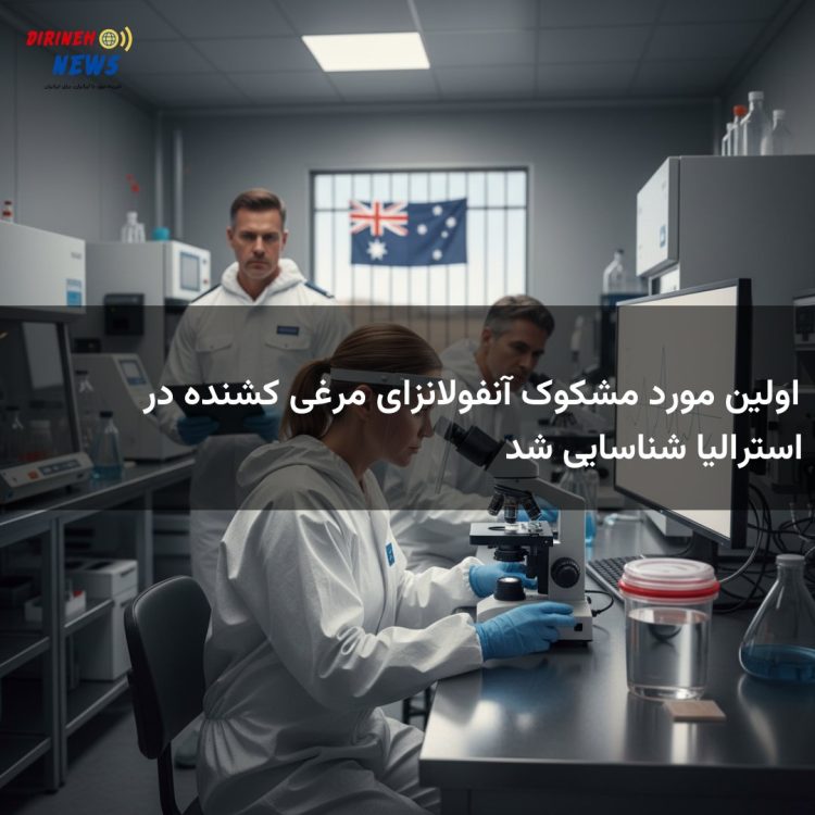 اولین مورد مشکوک آنفولانزای مرغی کشنده در استرالیا شناسایی شد