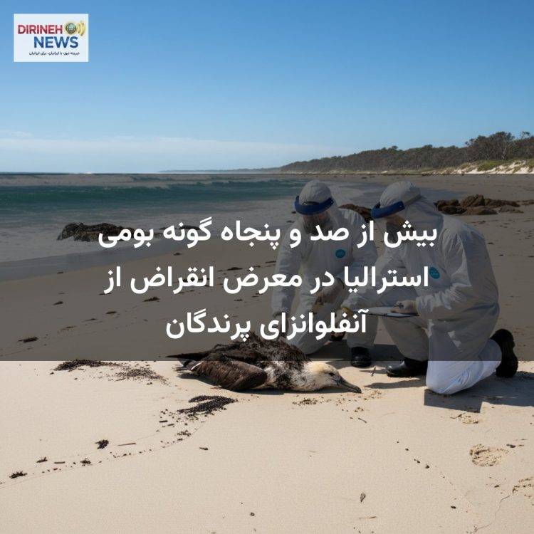 بیش از صد و پنجاه گونه بومی استرالیا در معرض انقراض از آنفلوانزای پرندگان