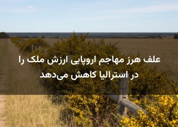 علف هرز مهاجم اروپایی ارزش ملک را در استرالیا کاهش می‌دهد