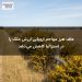 علف هرز مهاجم اروپایی ارزش ملک را در استرالیا کاهش می‌دهد