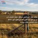 مالک ملک استرالیایی مشکل حصار خاردار را در دو روز حل کرد؛ کاری که شوراهای شهر ماه‌ها برای انجامش وقت می‌برند