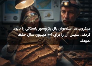 میکروب‌ها استخوان بال پتروسور باستانی را نابود کردند، سپس آن را برای ۱۰۰ میلیون سال حفظ نمودند