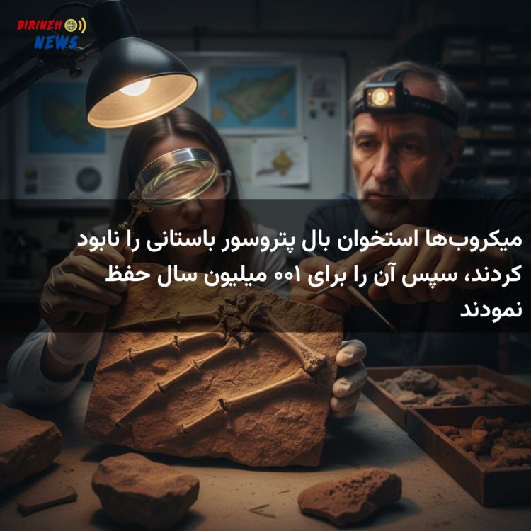 میکروب‌ها استخوان بال پتروسور باستانی را نابود کردند، سپس آن را برای ۱۰۰ میلیون سال حفظ نمودند