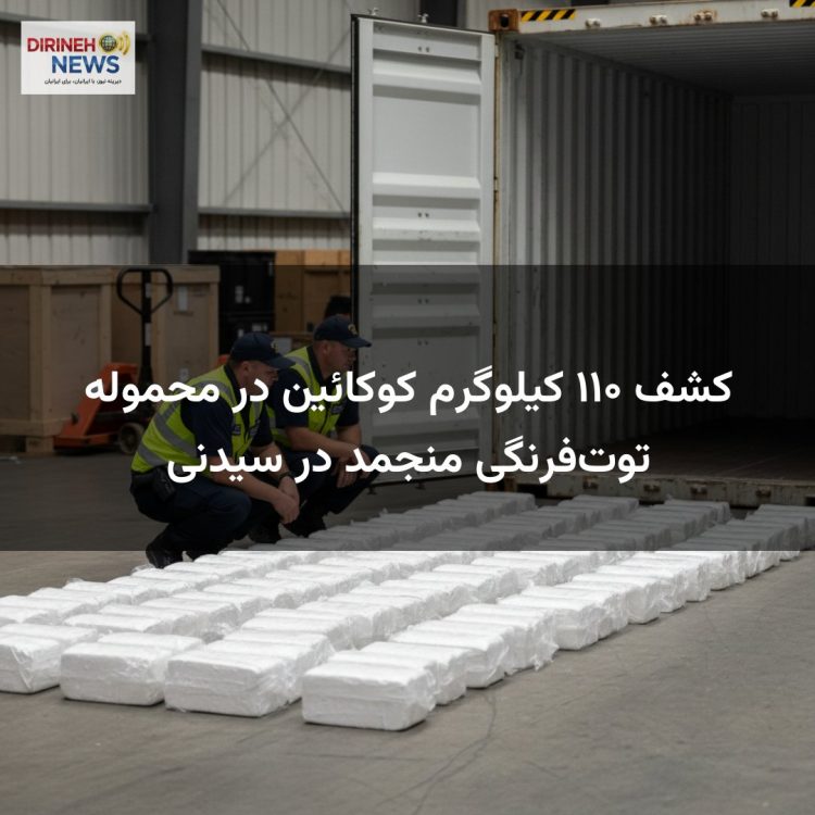 کشف ۱۱۰ کیلوگرم کوکائین در محموله توت‌فرنگی منجمد در سیدنی