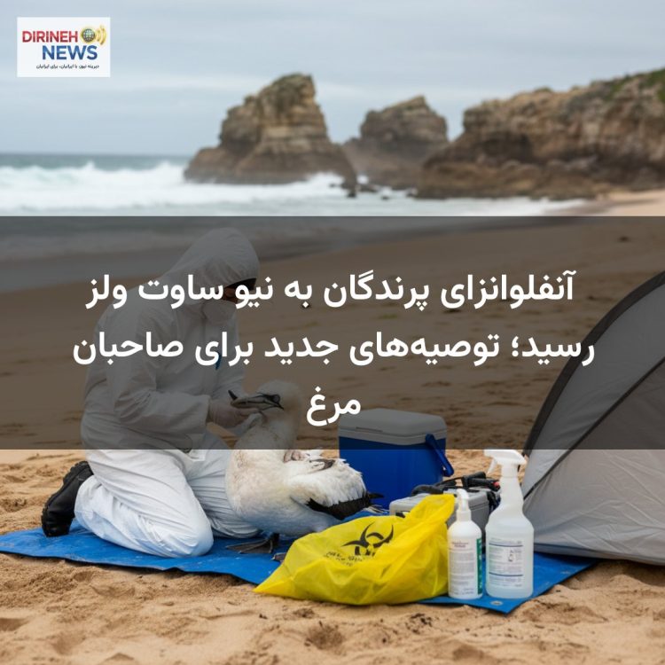 آنفلوانزای پرندگان به نیو ساوت ولز رسید؛ توصیه‌های جدید برای صاحبان مرغ