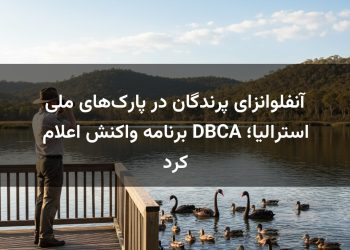 آنفلوانزای پرندگان در پارک‌های ملی استرالیا؛ DBCA برنامه واکنش اعلام کرد