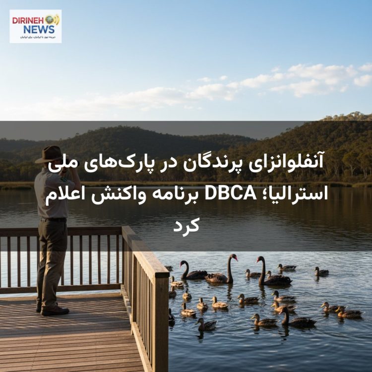 آنفلوانزای پرندگان در پارک‌های ملی استرالیا؛ DBCA برنامه واکنش اعلام کرد