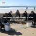 بیش از ۲۰۰ میلیون وزغ سمی در استرالیا؛ کشف ۱۰۰ هزار تخم در یک ساحل