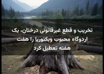 تخریب و قطع غیرقانونی درختان، یک اردوگاه محبوب ویکتوریا را هفت هفته تعطیل کرد