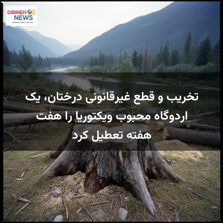 تخریب و قطع غیرقانونی درختان، یک اردوگاه محبوب ویکتوریا را هفت هفته تعطیل کرد