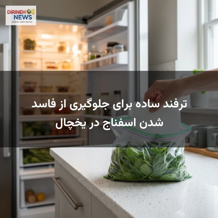 ترفند ساده برای جلوگیری از فاسد شدن اسفناج در یخچال