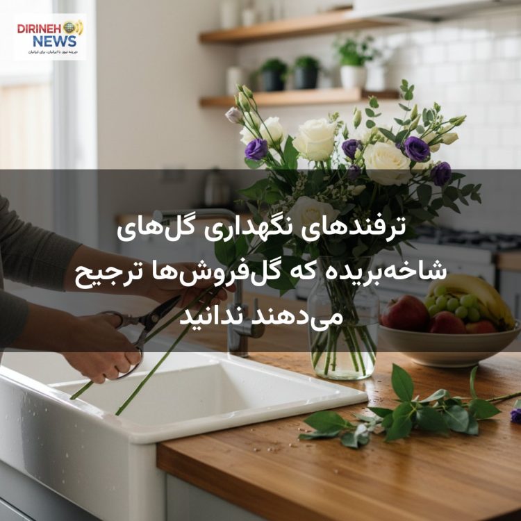 ترفندهای نگهداری گل‌های شاخه‌بریده که گل‌فروش‌ها ترجیح می‌دهند ندانید