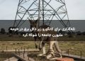 تله‌گذاری برای کانگورو زیر دکل برق در حومه ملبورن جامعه را شوکه کرد