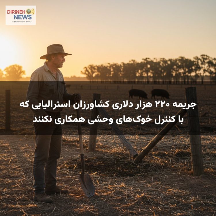 جریمه ۲۲۰ هزار دلاری کشاورزان استرالیایی که با کنترل خوک‌های وحشی همکاری نکنند
