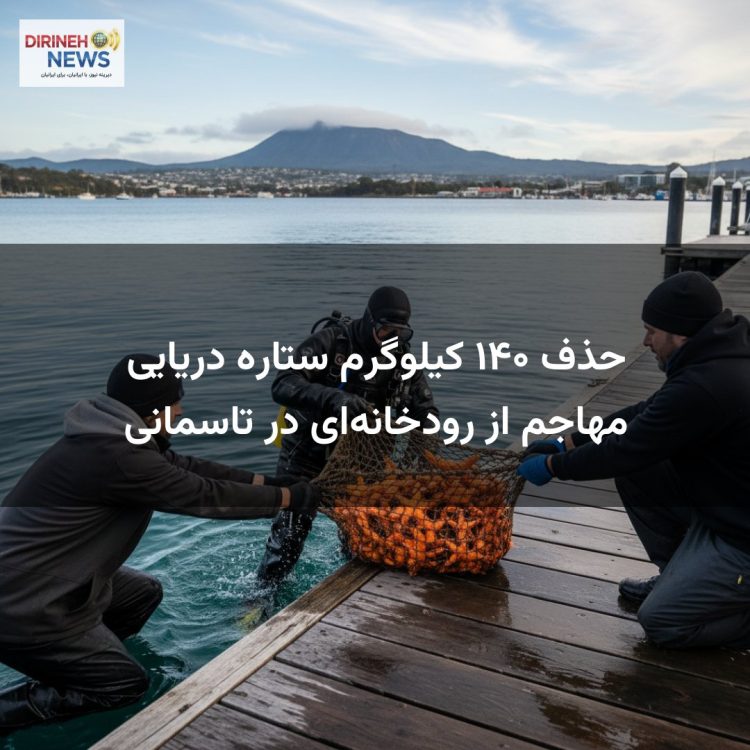 حذف ۱۴۰ کیلوگرم ستاره دریایی مهاجم از رودخانهای در تاسمانی