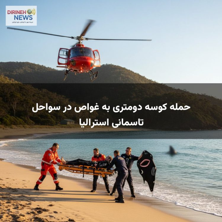 حمله کوسه دومتری به غواص در سواحل تاسمانی استرالیا