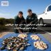 دو ماهیگیر استرالیایی به دلیل صید غیرقانونی صدف آبالون جریمه شدند