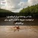 شنا در رودخانه پر از کروکودیل؛ درخواست جریمه ۱۰ هزار دلاری برای بیاحتیاطی