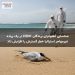 شناسایی آنفلوانزای پرندگان H5N1 در یک پرنده غیرمهاجر استرالیا خطر گسترش را افزایش داد