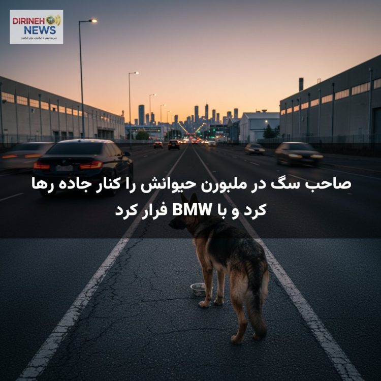 صاحب سگ در ملبورن حیوانش را کنار جاده رها کرد و با BMW فرار کرد