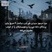 مرد مرموز سیدنی هر شب ساعت ۴ صبح برای پرندگان دانه می‌ریزد و همسایگان را از خواب محروم می‌کند