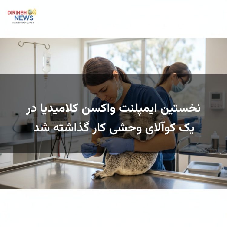 نخستین ایمپلنت واکسن کلامیدیا در یک کوآلای وحشی کار گذاشته شد