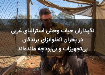 نگهداران حیات وحش استرالیای غربی در بحران آنفلوانزای پرندگان بی‌تجهیزات و بی‌بودجه مانده‌اند