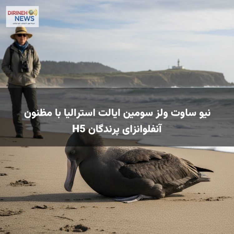 نیو ساوت ولز سومین ایالت استرالیا با مظنون آنفلوانزای پرندگان H5