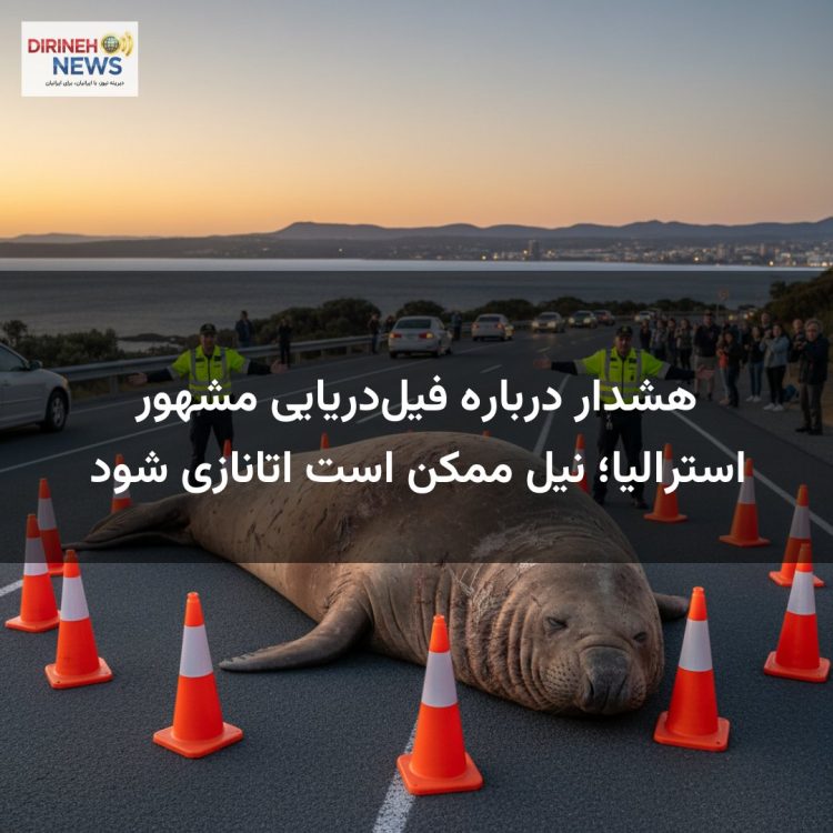 هشدار درباره فیلدریایی مشهور استرالیا؛ نیل ممکن است اتانازی شود