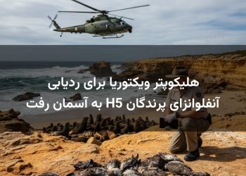 هلیکوپتر ویکتوریا برای ردیابی آنفلوانزای پرندگان H5 به آسمان رفت
