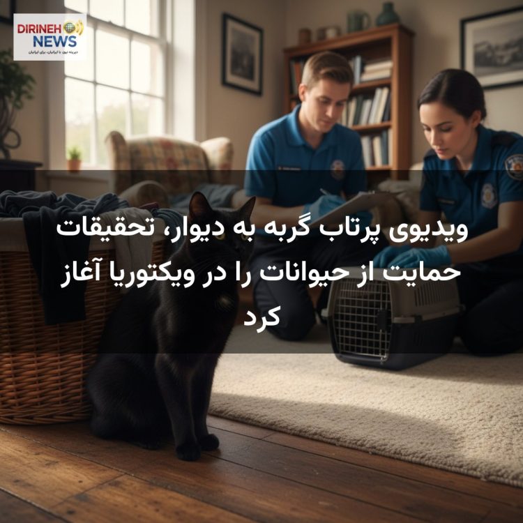 ویدیوی پرتاب گربه به دیوار، تحقیقات حمایت از حیوانات را در ویکتوریا آغاز کرد