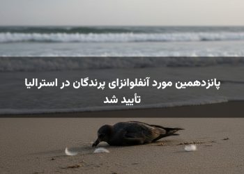 پانزدهمین مورد آنفلوانزای پرندگان در استرالیا تأیید شد