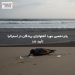پانزدهمین مورد آنفلوانزای پرندگان در استرالیا تأیید شد