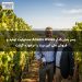 پسر بنیان‌گذار Anvers Wines مسئولیت تولید و فروش ملی این برند را برعهده گرفت