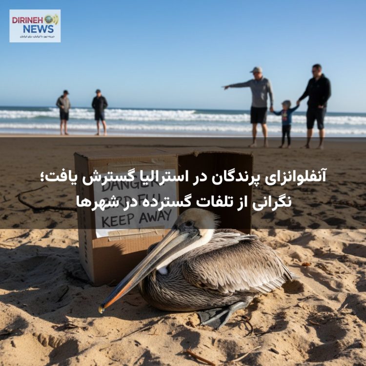 آنفلوانزای پرندگان در استرالیا گسترش یافت؛ نگرانی از تلفات گسترده در شهرها