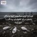 استرالیا اولین مرگومیر انبوه پرندگان وحشی بر اثر آنفلوانزای پرندگان را تأیید کرد