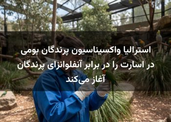 استرالیا واکسیناسیون پرندگان بومی در اسارت را در برابر آنفلوانزای پرندگان آغاز می‌کند