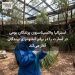 استرالیا واکسیناسیون پرندگان بومی در اسارت را در برابر آنفلوانزای پرندگان آغاز می‌کند
