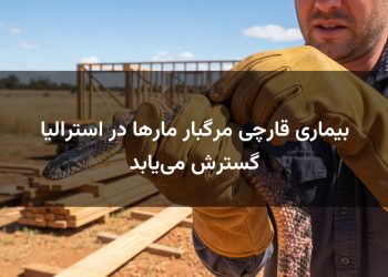 بیماری قارچی مرگبار مارها در استرالیا گسترش می‌یابد