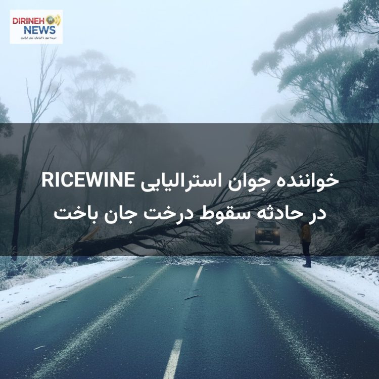خواننده جوان استرالیایی RICEWINE در حادثه سقوط درخت جان باخت