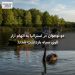 دو نوجوان در استرالیا به اتهام آزار قوی سیاه بازداشت شدند