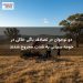 دو نوجوان در تصادف باگی خاکی در حومه سیدنی به شدت مجروح شدند