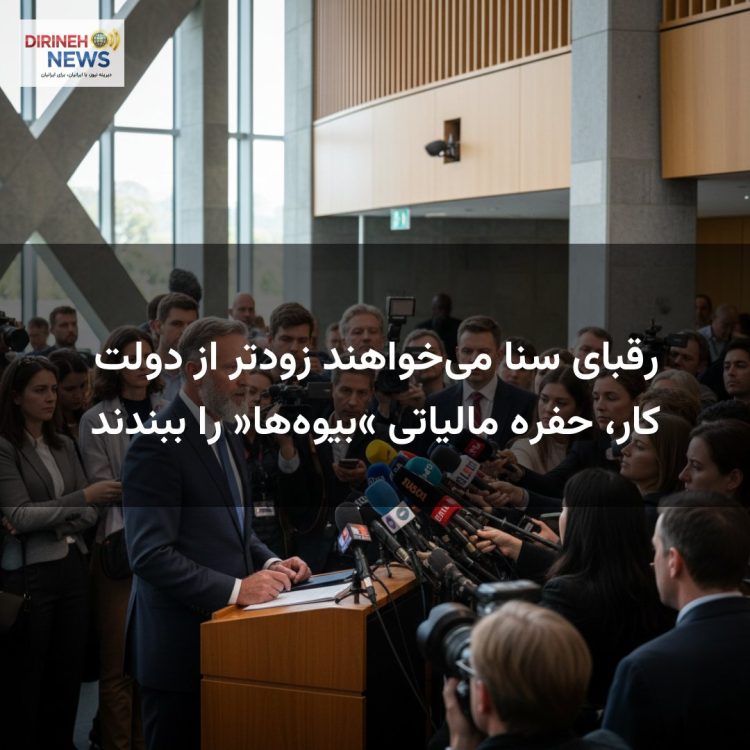 رقبای سنا می‌خواهند زودتر از دولت کار، حفره مالیاتی «بیوه‌ها» را ببندند