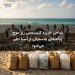 ساحل جزیره کریسمس زیر موج زباله‌های پلاستیکی از آسیا دفن می‌شود