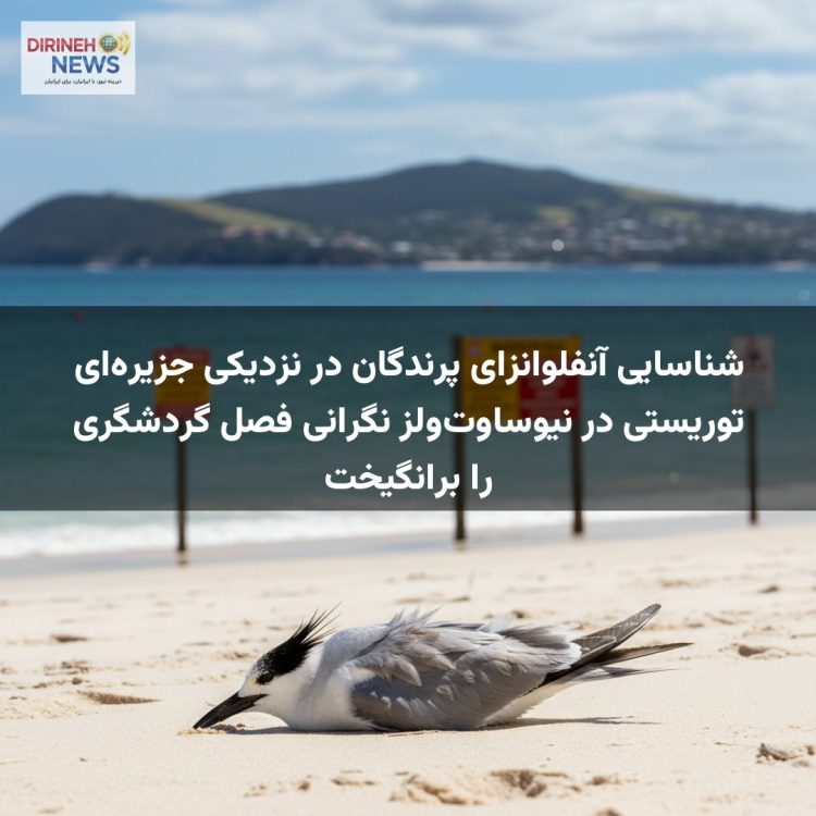 شناسایی آنفلوانزای پرندگان در نزدیکی جزیره‌ای توریستی در نیوساوت‌ولز نگرانی فصل گردشگری را برانگیخت