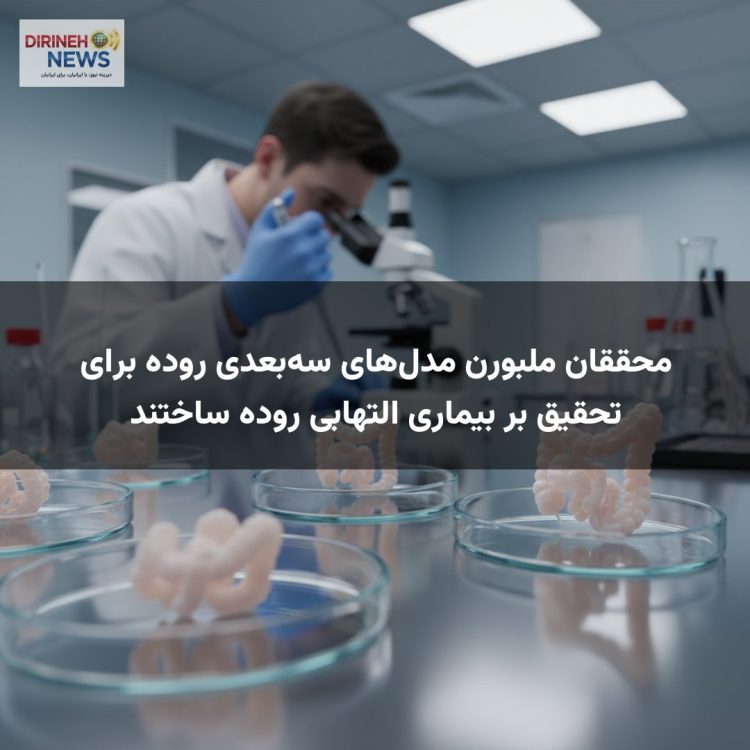 محققان ملبورن مدل‌های سه‌بعدی روده برای تحقیق بر بیماری التهابی روده ساختند